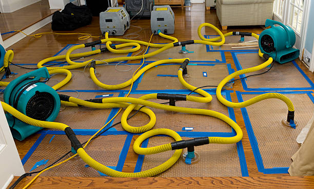 Professional Sewage Cleanup technician working in Girardville, PA
